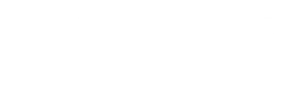 Logo Variation 2